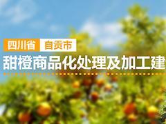 中國名優(yōu)產(chǎn)品廣告宣傳資訊 生產(chǎn)、價格與制作全解析